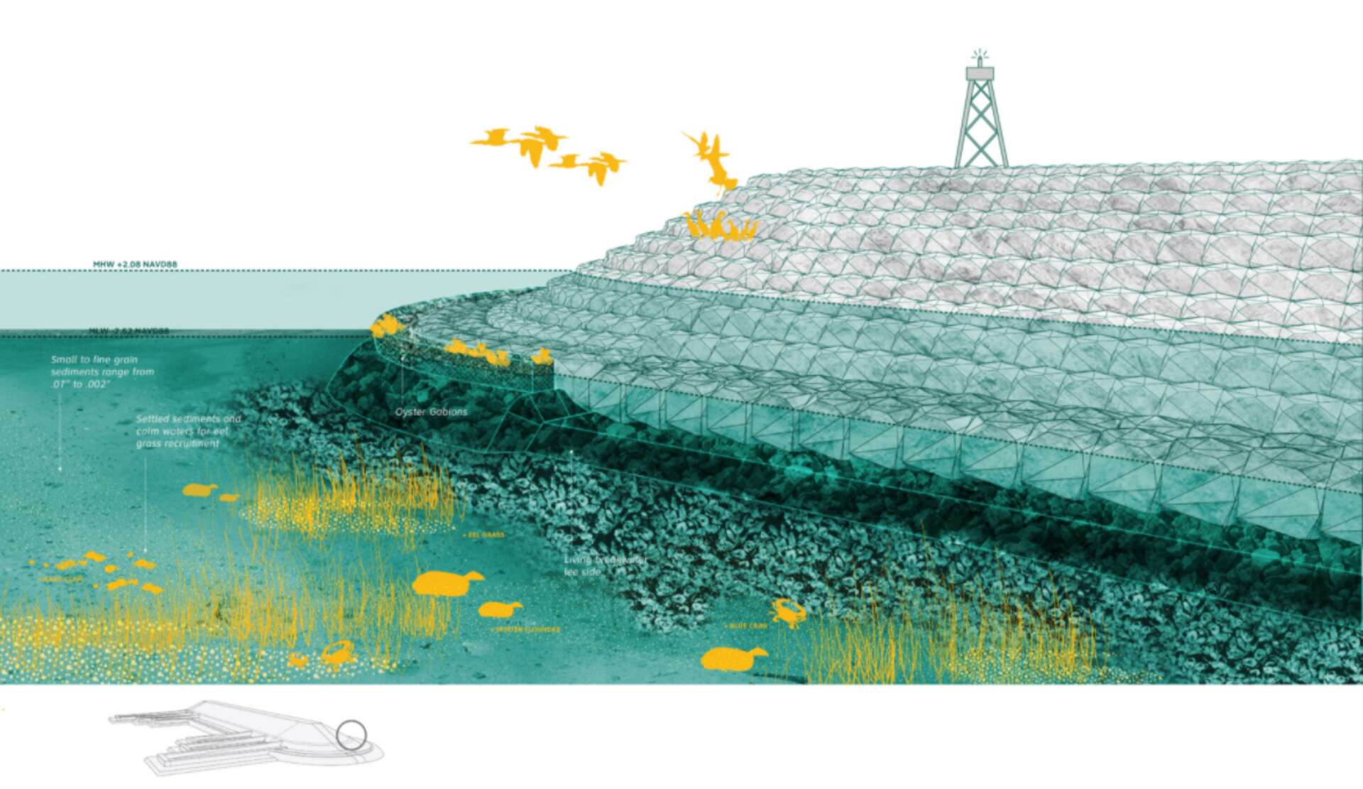 Jiaxi Li cover