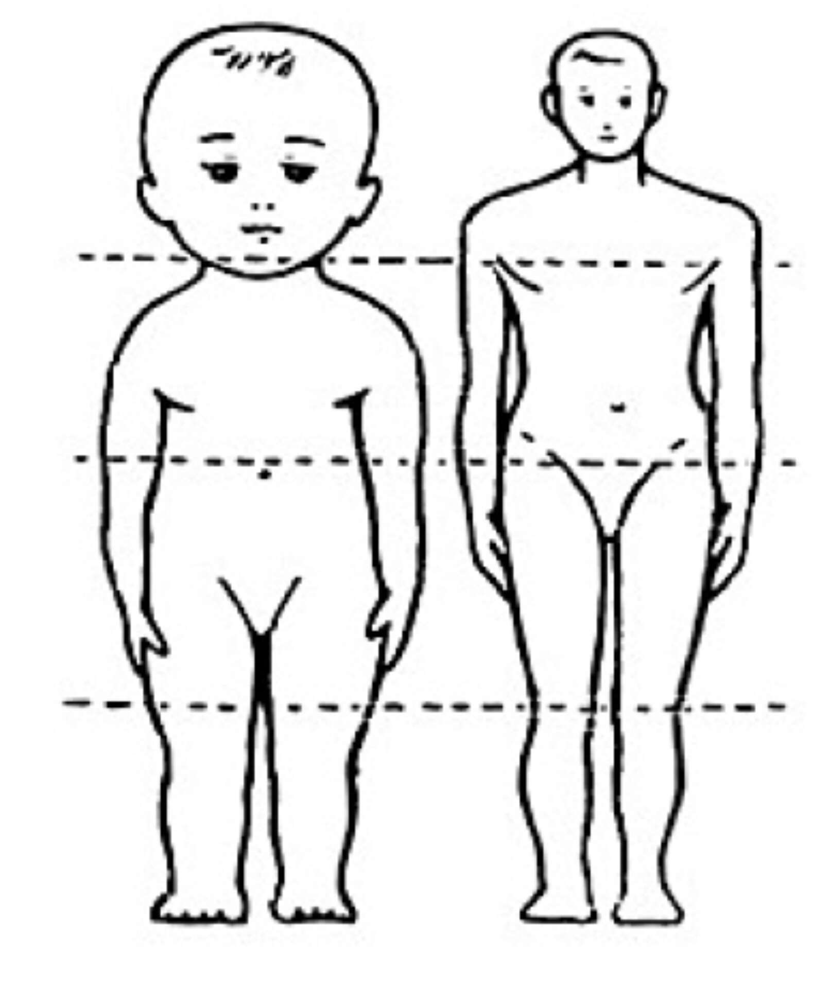 Valeria Wiendl Silvia Alves fig2